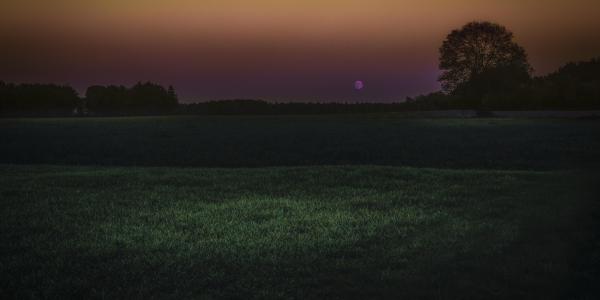 Maigrets Nacht an der Kreuzung