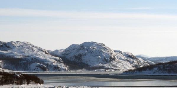 Der Passagier der Polarlys